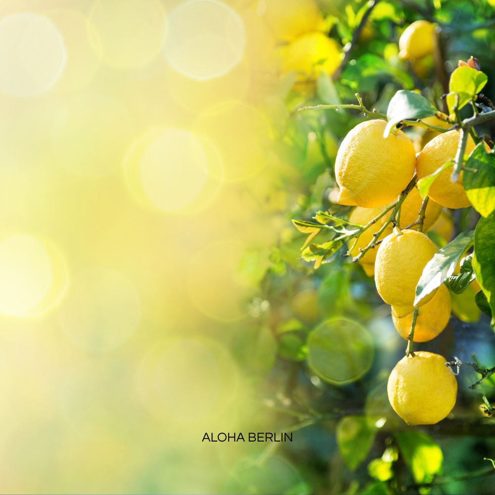 Aloha Creative Senses