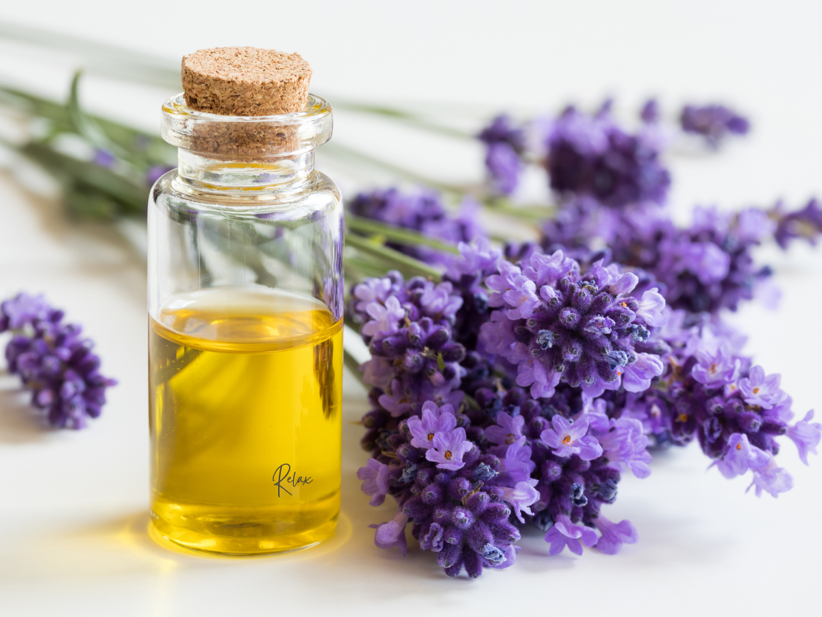 Massage 5 Kontinente Massage 5 Kontinente, Simone Fischer, Aloha Berlin