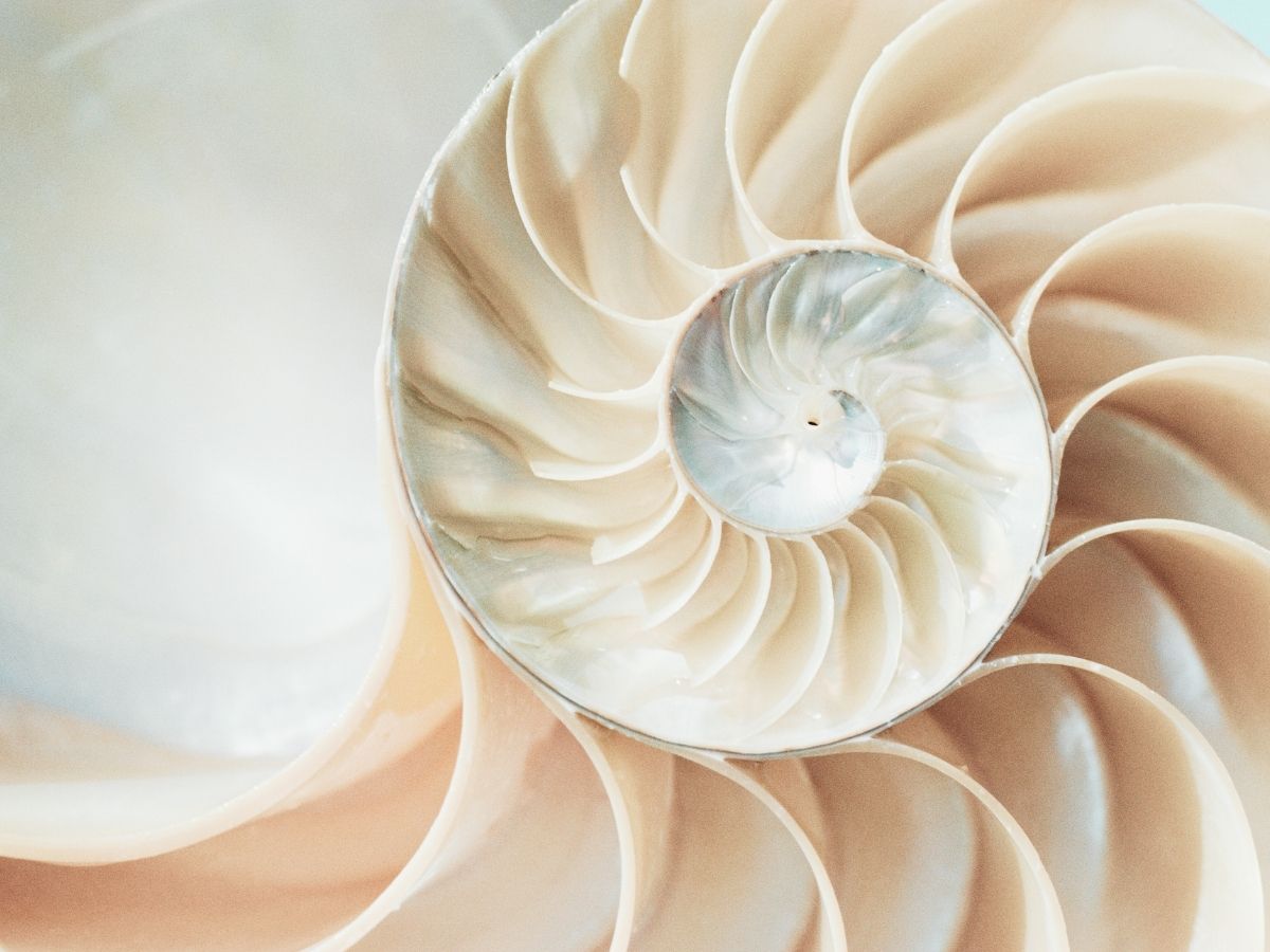 HOM-KIN, Homoö-Kinesiologie HOM-KIN, Homoö-Kinesiologie